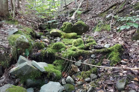 Aroostook State Park