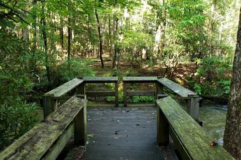Stone Mountain State Park