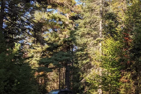 Beech Hill Campground