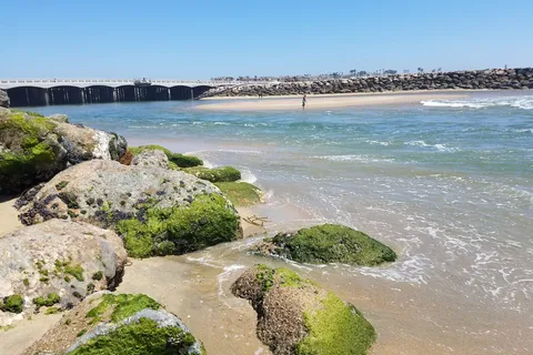 Bolsa Chica State Beach