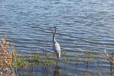 Bolsa Chica State Beach