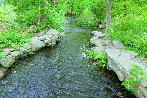 Sutton Falls Camping Area
