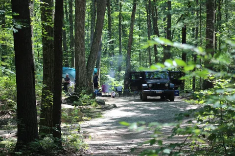 Sutton Falls Camping Area