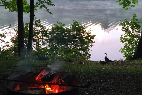 Sutton Falls Camping Area