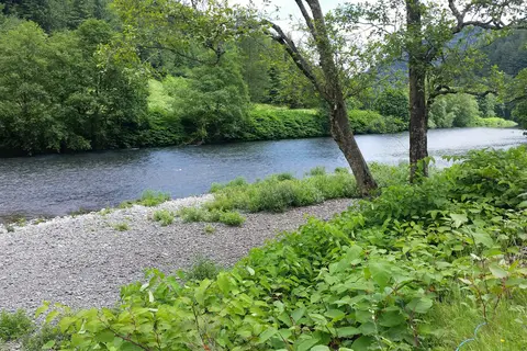 Misty River RV Park and Glamping