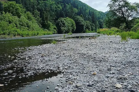 Misty River RV Park and Glamping