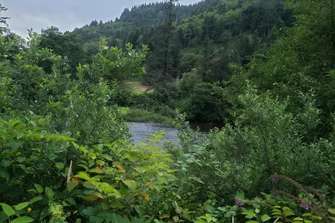 Misty River RV Park and Glamping