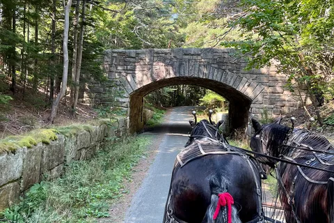 Wildwood Stables