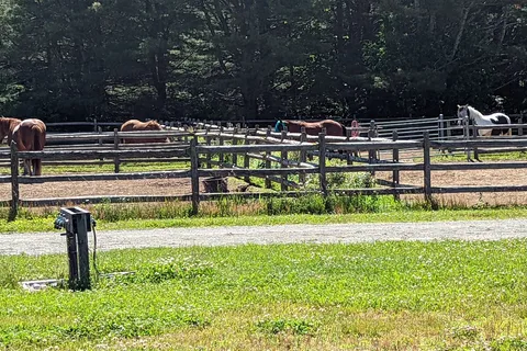 Wildwood Stables