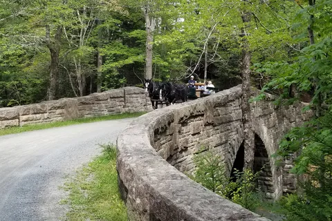Wildwood Stables