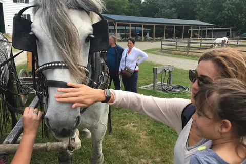 Wildwood Stables