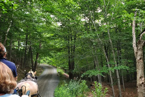 Wildwood Stables