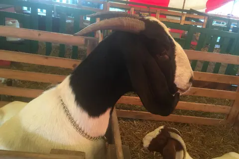Hardin County Fairgrounds