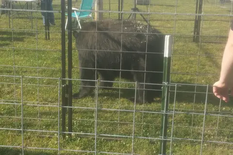 Hardin County Fairgrounds