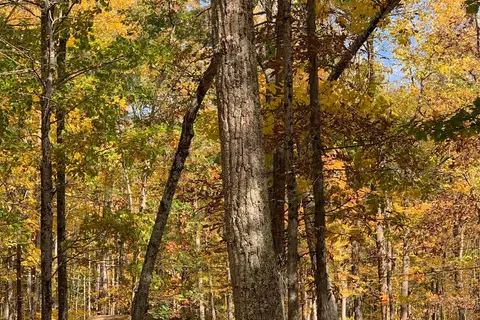 Max V Shaul State Park