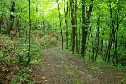Max V Shaul State Park