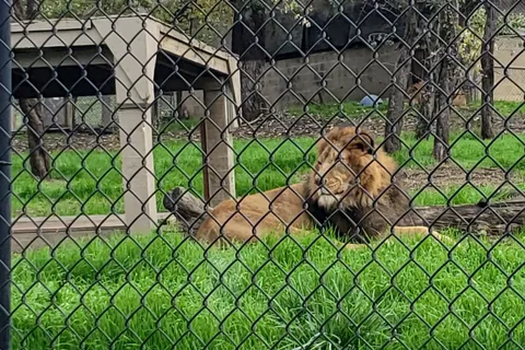 Wildlife Safari RV Area