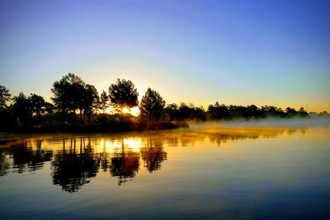 Shell Island Fish Camp