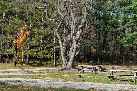 Lost Mountain Campground
