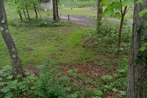 Lost Mountain Campground