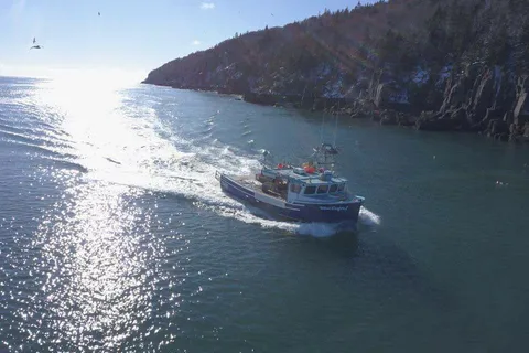 Whale Cove Campground