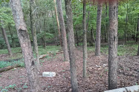 Armadillo Circle - Beavers Bend State Park