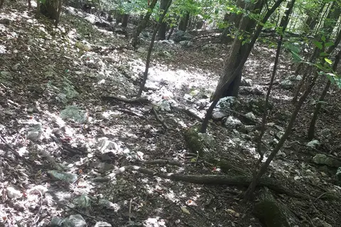 Armadillo Circle - Beavers Bend State Park
