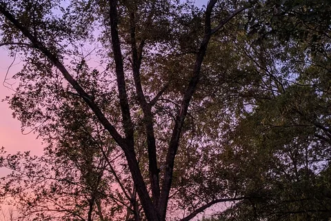 Lakeview - Pawnee State Recreation Area
