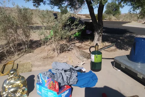 Las Vegas Bay Campground - Lake Mead National Recreational Area