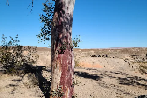 Las Vegas Bay Campground - Lake Mead National Recreational Area
