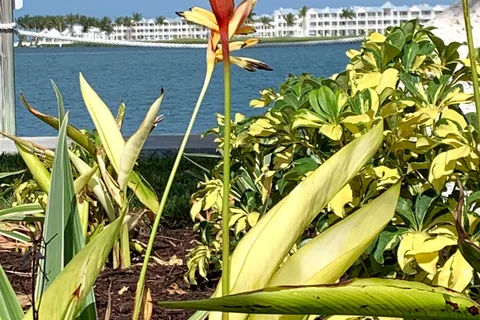 Marathon Marina and RV Resort