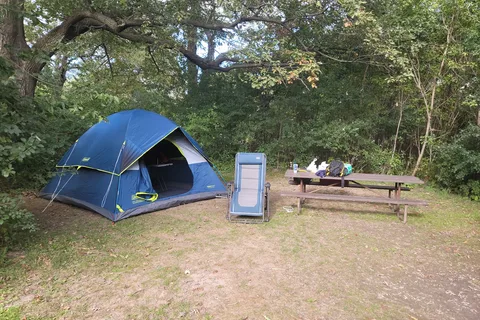 Big Foot Beach State Park