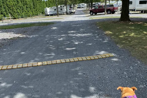Pine Hill RV Park