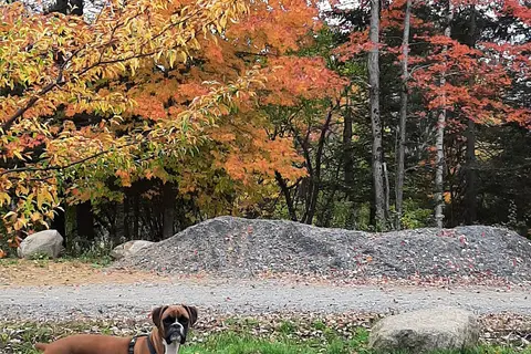 Thornbush Acres RV Park