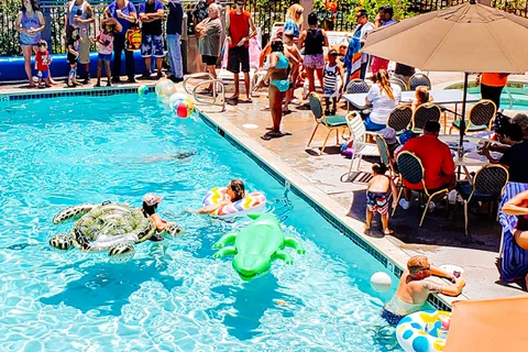 Circle RV Resort - Sunland