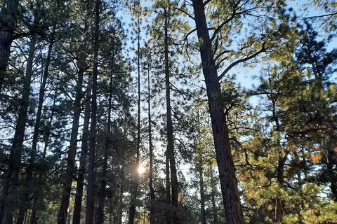 Kaibab Camper Village