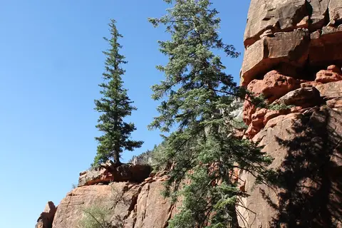 Kaibab Camper Village