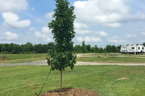Timbercrest Camp and RV Park
