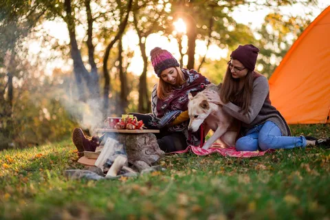 Timbercrest Camp and RV Park