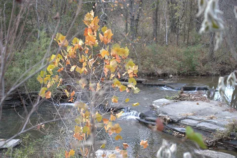 Valley View Glamping & RV Resort