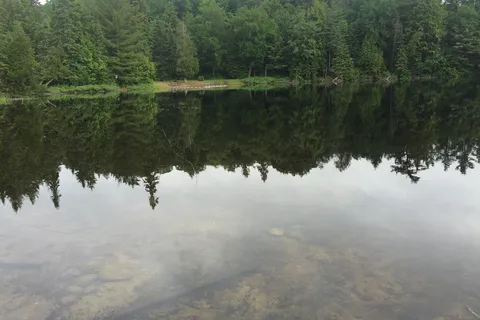 Canisbay Lake - Algonquin Provincial Park