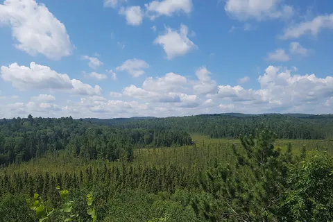 Canisbay Lake - Algonquin Provincial Park