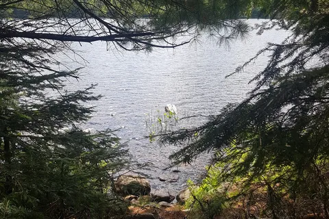 Canisbay Lake - Algonquin Provincial Park