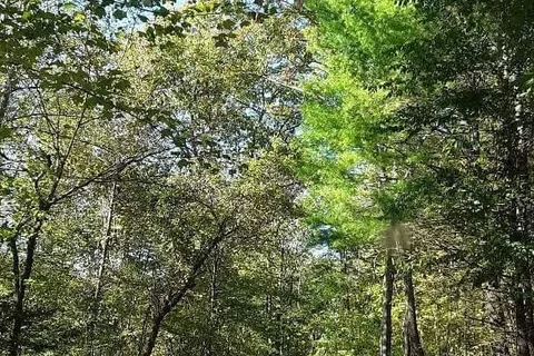 R-Ranch In The Mountains - Members