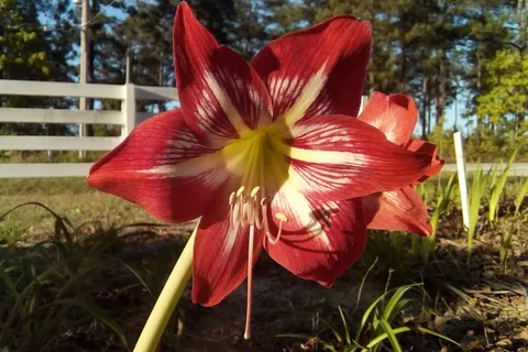 Aiken RV Park