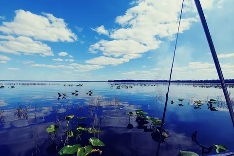 Twin Lakes Fish and Camping