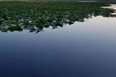 Twin Lakes Fish and Camping