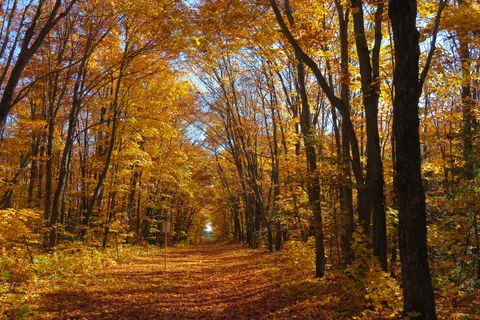Kiosk - Algonquin Provincial Park