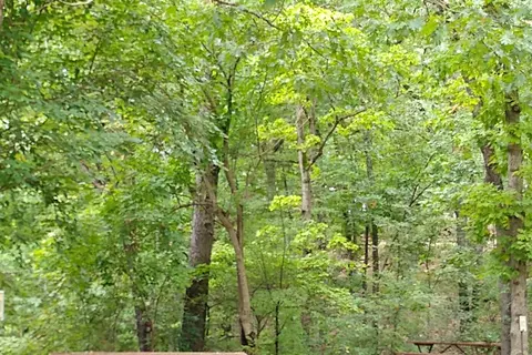 Wilderness At Silver Dollar Campground