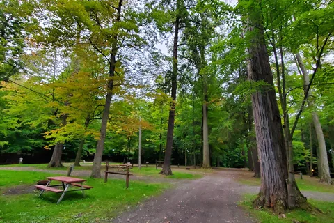 Camp Chautauqua Camping Resort